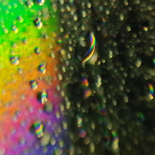 Photo #6210038