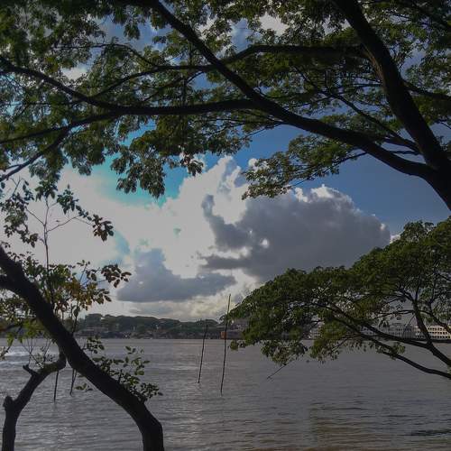 Photo #6210255