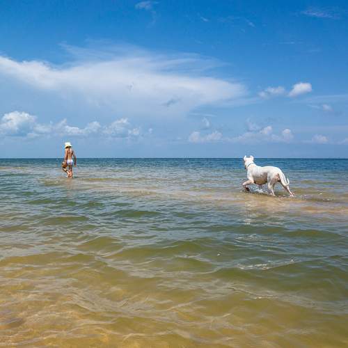 Photo #6210625