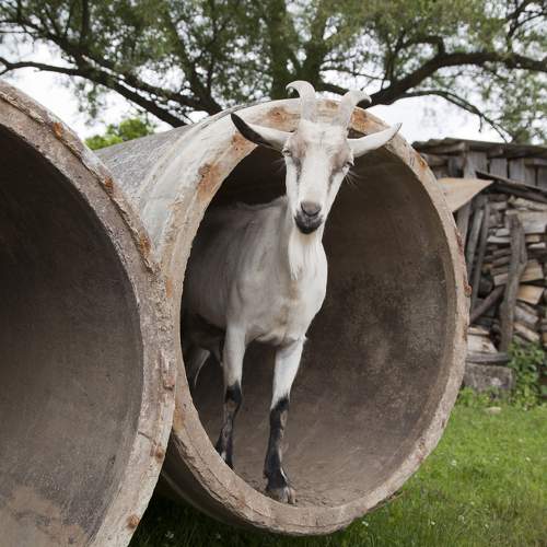 Фотография #6210641