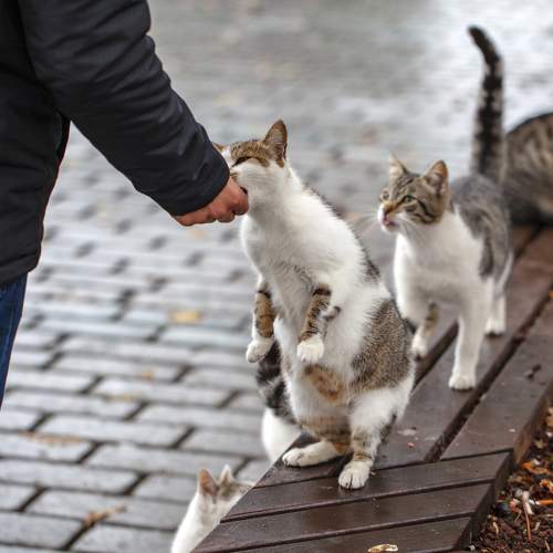 Фотография #6210657