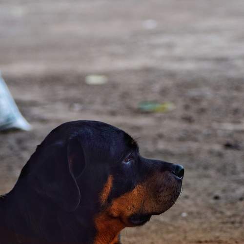 Photo #6211349