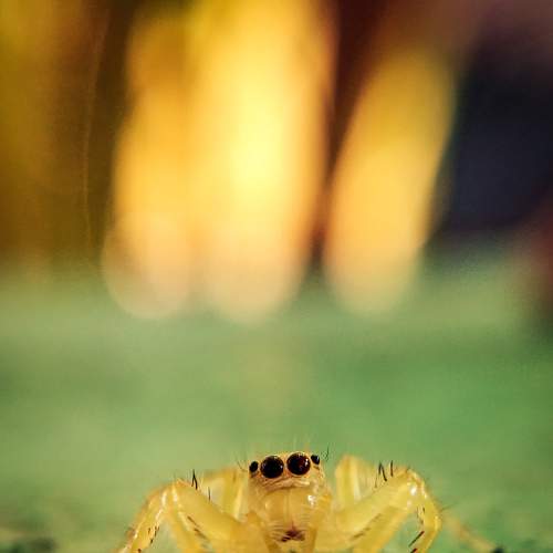 Eyes speaks How to be Cute