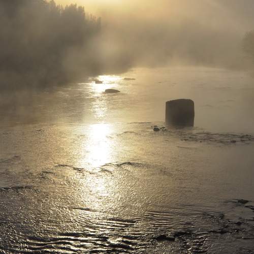 Photo #6212106