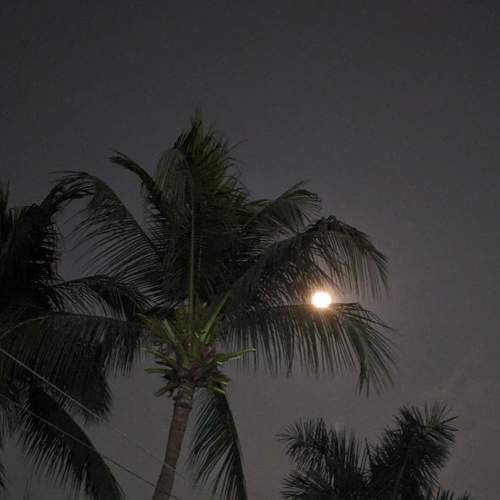 Photo #6212146