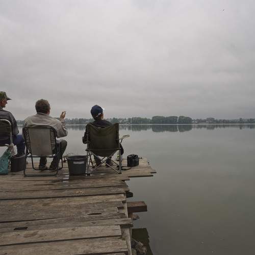 Photo #6212504