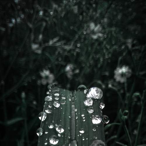 Photo #6212559