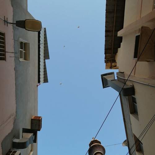 Photo #6212560