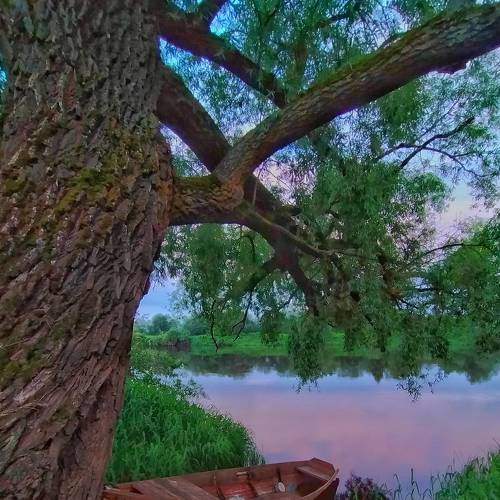 Photo #6212583