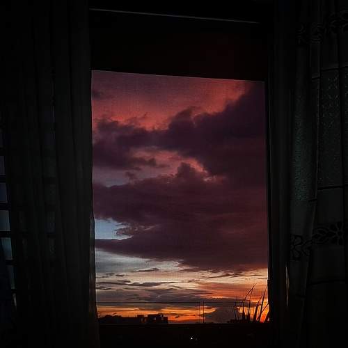 Photo #6212889