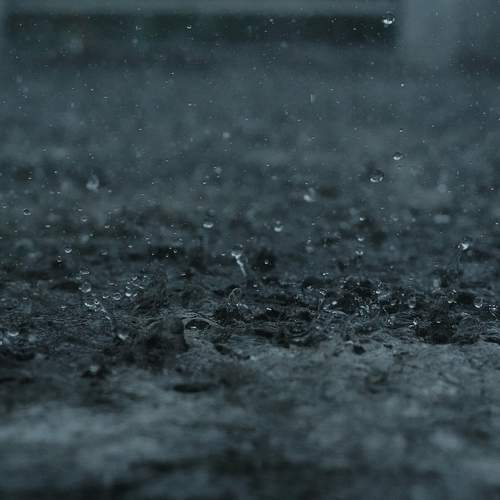 Photo #6213040