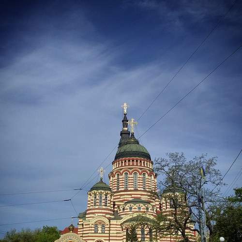 Photo #6213108