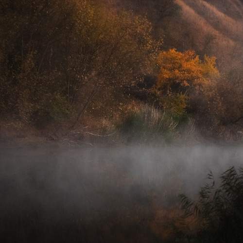 Photo #6213175