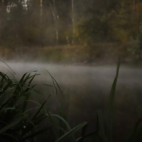 Photo #6213200