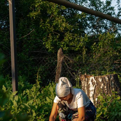 Photo #6213232