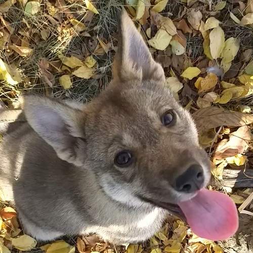 Photo #6213328