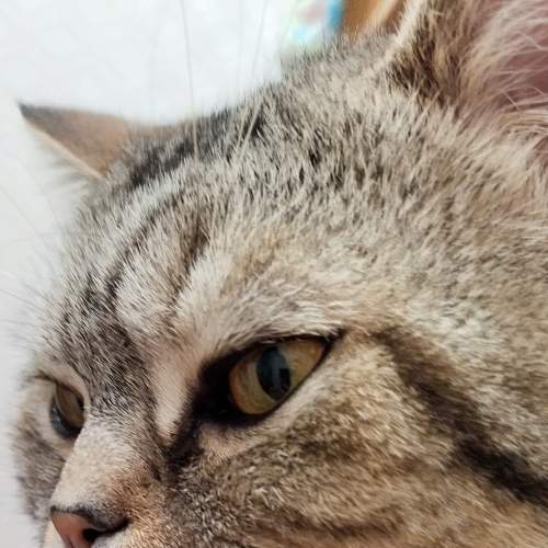 Photo #6213407