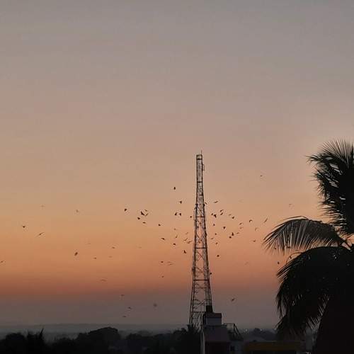 Photo #6213450