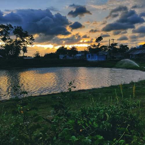 Photo #6214163