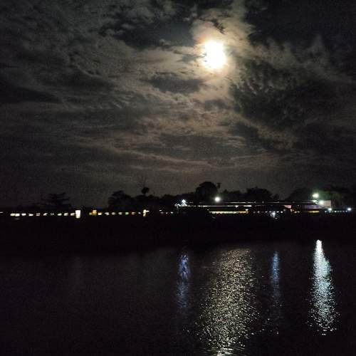 Photo #6214188