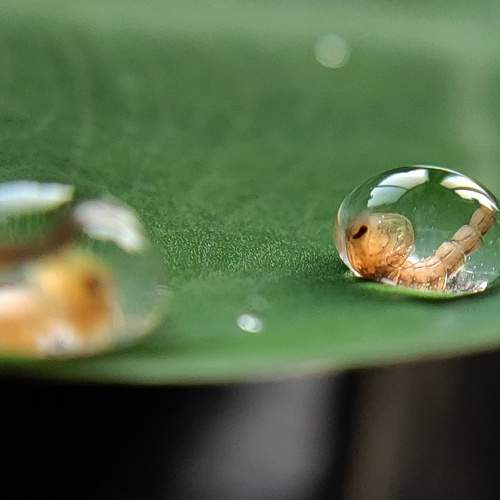 Photo #6214193