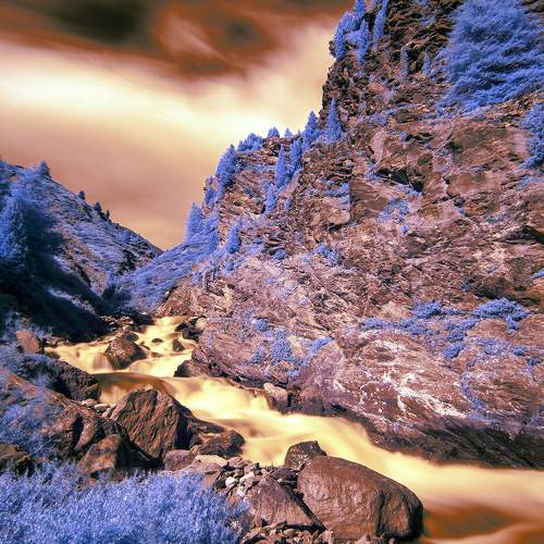 Photo #6214722