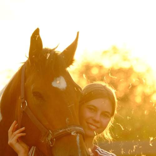 Photo #6215288