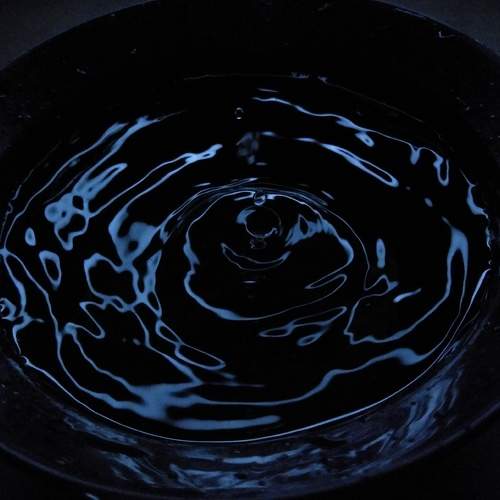 Photo #6215653
