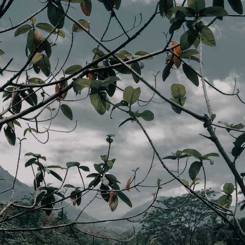 Photo #6216342