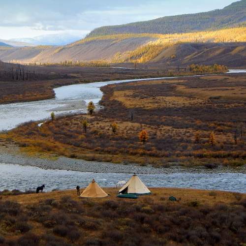 Photo #6216516