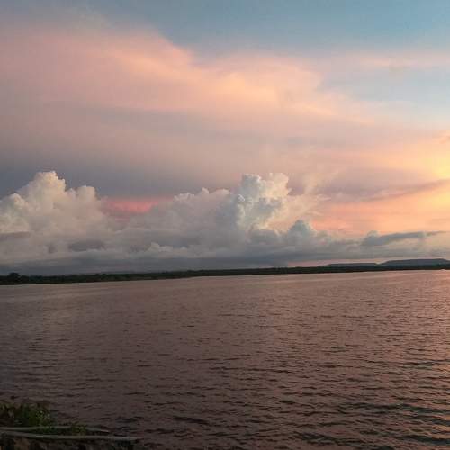 Photo #6216532