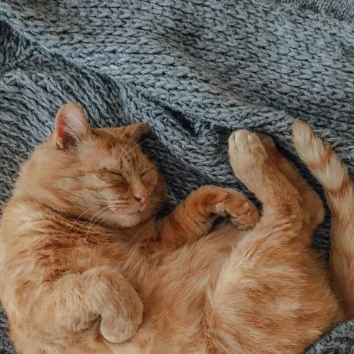 Photo #6216671