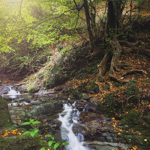 Photo #6216689