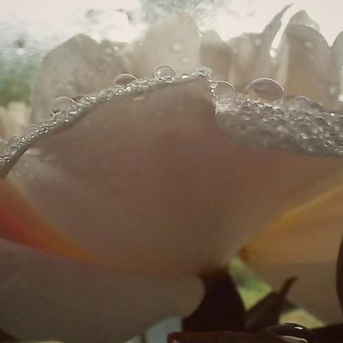 Photo #6216893