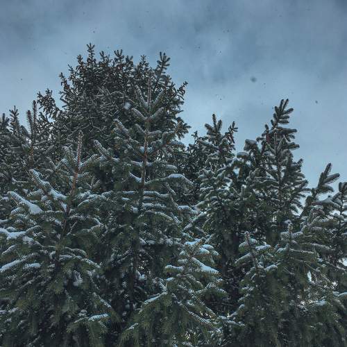 Photo #6217589