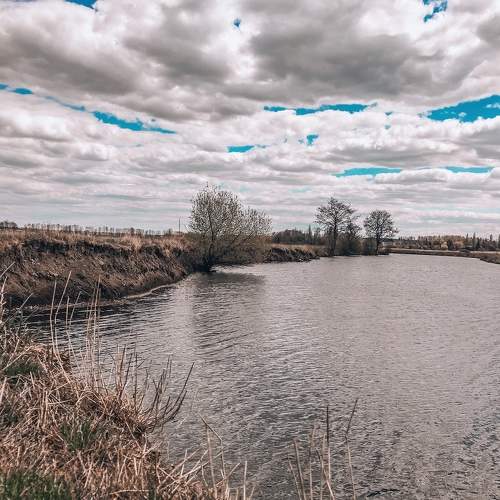 Photo #6217597