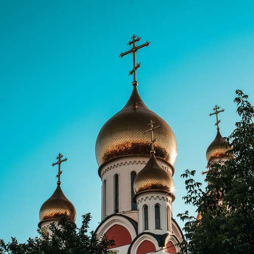 Photo #6217845