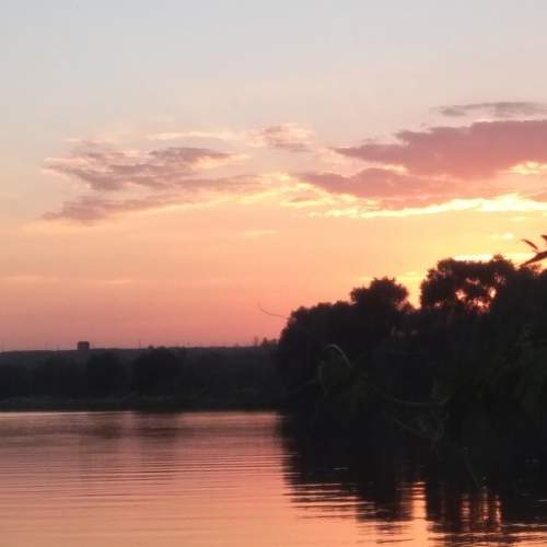 Photo #6217945
