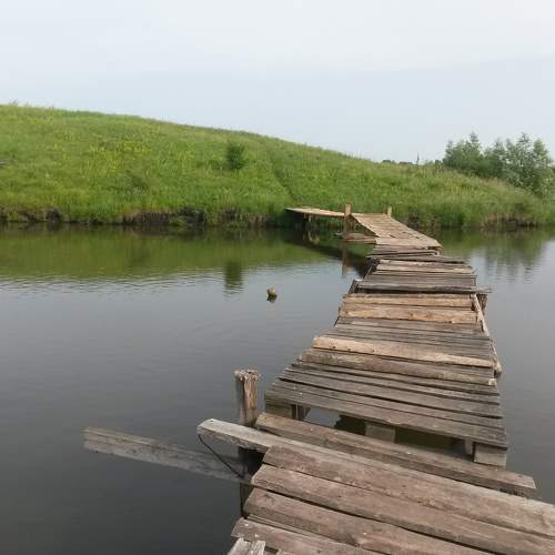 Photo #6217983