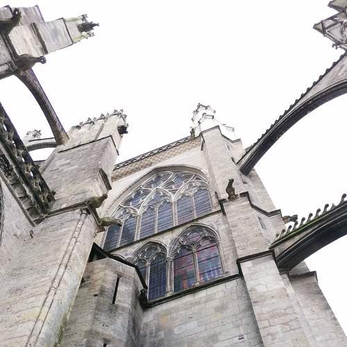 Photo #6217997