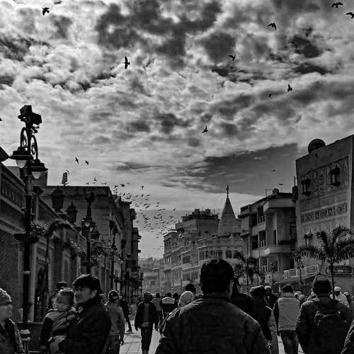 Photo #6218043