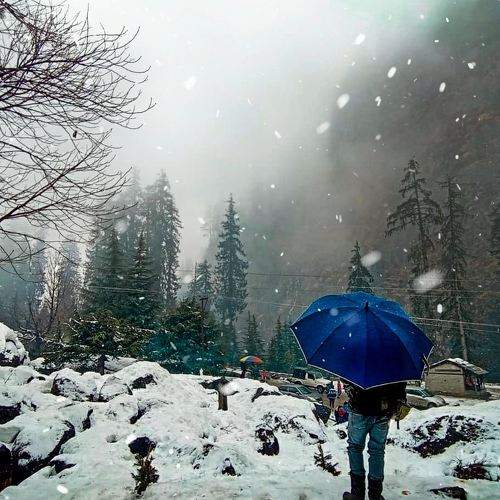 Photo #6218112