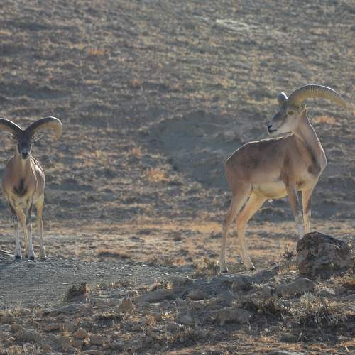 Photo #6218228