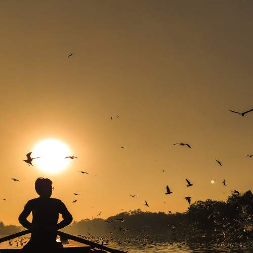 Photo #6218566