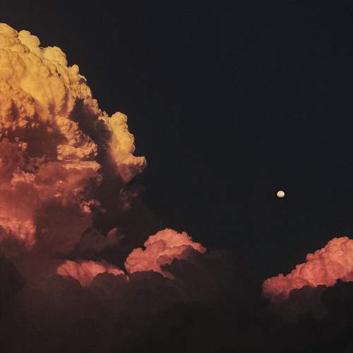 Photo #6218570