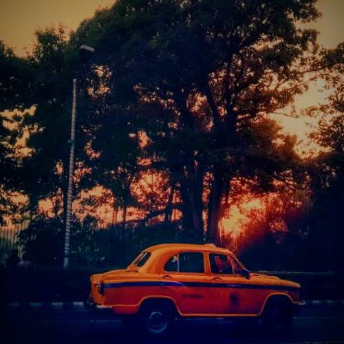 Photo #6218794