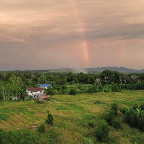 Photo #6218826