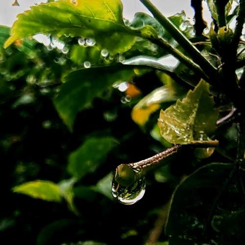 Photo #6219072