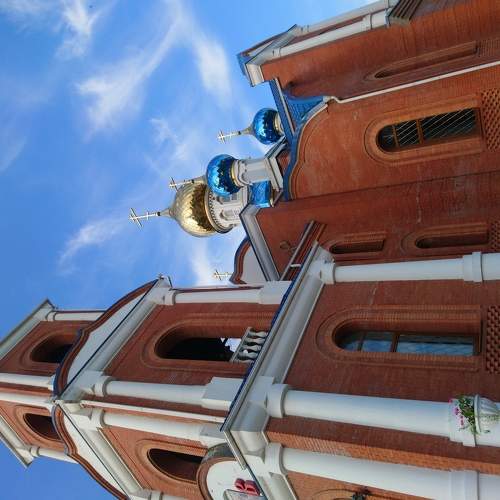 Photo #6219120