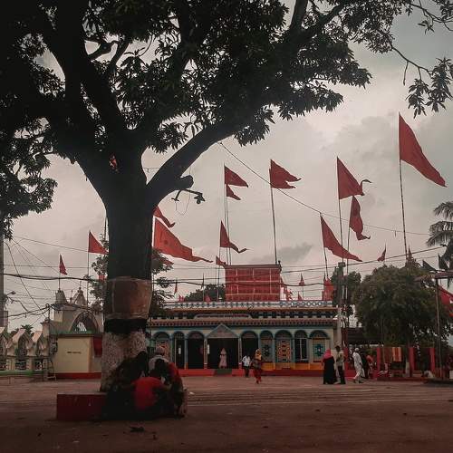 Photo #6219188